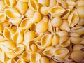 Pile of uncooked conchiglie pasta shells. Royalty Free Stock Photo