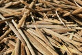 pile of unprocessed pearl millet in a field top view