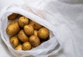 A pile of unwashed potatoes lies in a bag