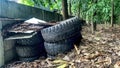 pile of used car tires on top of leaf litter in the forest Royalty Free Stock Photo