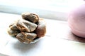 Pile of used teabags on a teabag shaped plate on a kitchen windowsill Royalty Free Stock Photo