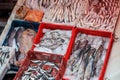 Pile of various fish in plastic boxes with ice on display at street market - Marrakesh Morocco Royalty Free Stock Photo