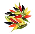 Pile of various kind of chilli peppers isolated on