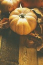 Pile of Various Kinds of Pumpkins Different Colors Orange Pale Peach Dry Fallen Leaves on Stone Background Barn Weathered Wood.