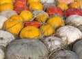 Pile of various pumpkins at harvest festival. background, vegetables. Royalty Free Stock Photo