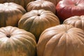 Pile of various pumpkins at harvest festival. background, vegetables. Royalty Free Stock Photo