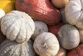 Pile of various pumpkins at harvest festival. background, vegetables. Royalty Free Stock Photo