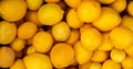 A pile of very delicious exotic fruite lemon, citrus family.