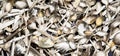 Pile of vintage silverware, spoons metal background Royalty Free Stock Photo