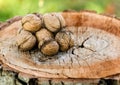 Pile of walnuts Royalty Free Stock Photo