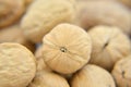 A pile of walnuts Royalty Free Stock Photo