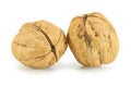 Pile walnuts Royalty Free Stock Photo