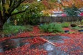 Pile of wet leaves and a rake on an asphalt driveway, garden in background, fall cleanup