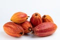 Pile of wet yellow cacao pods Royalty Free Stock Photo