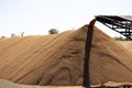 A pile of wheat, a bunch of grain. Grain for the sowing company.