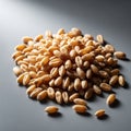 The main pile. The background is blurred emphasizing the wheat which Royalty Free Stock Photo