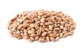 Pile of wheat grains on background. Cereal crop Royalty Free Stock Photo