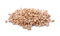 Pile of wheat grains on white background Royalty Free Stock Photo