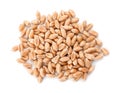 Pile of wheat grains on white background, top view Royalty Free Stock Photo