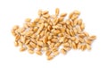 Pile of wheat grains on white background, top view Royalty Free Stock Photo