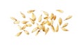 Pile of wheat grains on white background, top view Royalty Free Stock Photo