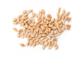 Pile of wheat grains on white background, top view Royalty Free Stock Photo