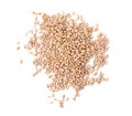 Pile of wheat grains on white background. Cereal crop Royalty Free Stock Photo