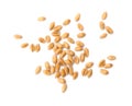 Pile of wheat grains on white background, top view Royalty Free Stock Photo