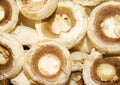 Pile of of white Champignon mushrooms Royalty Free Stock Photo