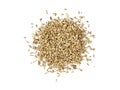 White Cumin Isolated Royalty Free Stock Photo