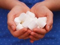 A pile of white marshmallows in woman palms.