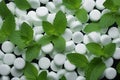 Pile of white mints candy with a green mint leaves Royalty Free Stock Photo