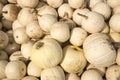 A pile of white pumpkins Royalty Free Stock Photo