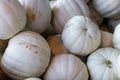 A pile of white pumpkins Royalty Free Stock Photo