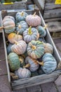 Pile of white pumpkins in a wooden box, a vertical shot Royalty Free Stock Photo