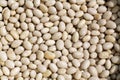 Pile of white soya beans. Royalty Free Stock Photo