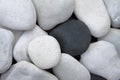 Pile of white stones and one black stone Royalty Free Stock Photo