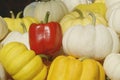 Pile of White Yellow Pumpkins with Red Bell Pepper Royalty Free Stock Photo