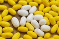 Pile of white and yellow silkworm cocoons ready to be boiled and spun into silk thread.