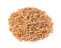 Pile of whole Emmer farro grains closeup on white Royalty Free Stock Photo