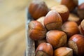 Pile of whole hazelnuts in wood box on garden table, close up, vibrant color, top view view, cozy autumn atmosphere Royalty Free Stock Photo