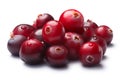 Pile of wild cranberries, clipping paths Royalty Free Stock Photo