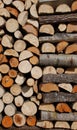 Pile of wood Royalty Free Stock Photo