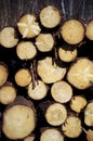 Pile of wood Royalty Free Stock Photo