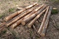 A pile of wood arranged along a forest road. Wood prepared for export Royalty Free Stock Photo