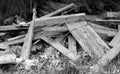 Pile of Wood in Black and White Royalty Free Stock Photo