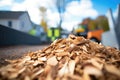 pile of wood chips for bioenergy production