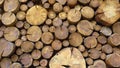 Pile Wood Cut Pieces Firewood. Wood for fireplace heating house. Stacked wood. Winter. Cold weather. Environment.