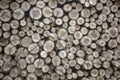Pile of Wood Royalty Free Stock Photo