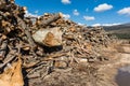 Pile of wood destined as heating fuel